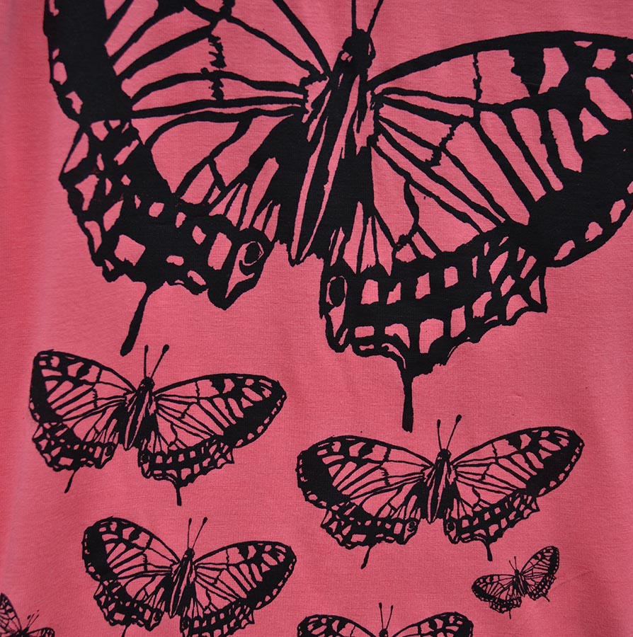 coralbutterfly3