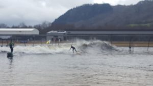 SAS reps surfing